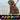 Rechargeable LED Dog Leash - Luminous Safety Leash for Pets - DecorOfficial