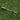 Handheld Lawn Mower - Lightweight Portable Grass Cutter - DecorOfficial