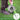 Interactive Pet Training Ball - Smart Dog Toy for Cats and Dogs - DecorOfficial