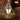 Pyramid Humidifier Night Light - Decorative Cool Air Moisturizer - DecorOfficial