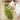 Leaf Shape Area Rug - Pure Green Decorative Home Carpet - DecorOfficial