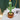 Funny Dancer Cactus Toy - Fun Plant Figurine - DecorOfficial