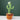 Funny Dancer Cactus Toy - Fun Plant Figurine - DecorOfficial