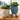 Plant Plush Toys - Adorable Stuffed Greenery - DecorOfficial