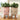 Plant Plush Toys - Adorable Stuffed Greenery - DecorOfficial