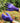Garden Claw Gloves - Rubber Gardening Gloves with Claw Tips - DecorOfficial