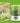 Automatic Seedling Sprout Machine - Easy Bean Grower - DecorOfficial