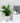 Self-Watering Plant Pot - Decorative Planter with Water Reservoir - DecorOfficial