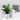 Self-Watering Plant Pot - Decorative Planter with Water Reservoir - DecorOfficial