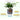 Self-Watering Plant Pot - Decorative Planter with Water Reservoir - DecorOfficial