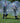 Large Bubble Balloon - Fun Outdoor Play Toy - DecorOfficial