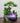 Feng Shui Indoor Water Fountain - Creative Decorative Accent - DecorOfficial