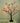 LED Fairy Tree Desk Lamp - Magical Night Light Decor - DecorOfficial