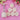 Flower Cookie Cutter - DIY Baking Tool for Floral Cookies - DecorOfficial