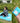 Compact Waterproof Camping Mat - Portable Outdoor Blanket - DecorOfficial