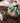 Christmas Baking Set DIY Holiday Cookie Kit - DecorOfficial