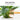 Smart Self-Watering Plant Dripper - Automatic Plant Care System - DecorOfficial