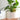 Smart Self-Watering Plant Dripper - Automatic Plant Care System - DecorOfficial