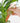 Smart Self-Watering Plant Dripper - Automatic Plant Care System - DecorOfficial