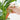 Smart Self-Watering Plant Dripper - Automatic Plant Care System - DecorOfficial