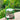 Transparent Pet Carrier Trolley - Portable Travel Capsule for Pets - DecorOfficial