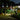 Solar LED Wind Chimes - Color-Changing Decorative Lights - DecorOfficial