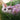 Cute Rabbit Denim Dress - Adorable Kids Jean Dress - DecorOfficial