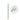 Eco-Friendly Ultra Thin Toothbrush - Super Soft Gentle Bristles - DecorOfficial