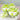 Cabbage Dog Pillow - Cute Stuffed Vegetable Pet Toy - DecorOfficial