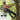 Cats Claw Hiking Pole - Outdoor Hiking Tool for Shoes - DecorOfficial