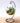 Clear Round Glass Hanging Vase - DecorOfficial