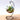 Clear Round Glass Hanging Vase - DecorOfficial