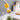 360 Adjustable Faucet Water Filter Extension - DecorOfficial