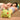 Caterpillar Plush Pillow - Soft Cute Toy - DecorOfficial