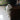 Plush Cat Figurine - Cute Home Desk Decor - DecorOfficial