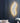 Nordic Feather LED Wall Lamp - Elegant Lighting Fixture - DecorOfficial