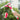 Double-Sided Window Cleaning Brush - Efficient Water Spray Glass Cleaner - DecorOfficial