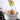 Heat Resistant Hot Plate Holder Set - Kitchen Cooking Tool - DecorOfficial