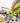 Heat Resistant Hot Plate Holder Set - Kitchen Cooking Tool - DecorOfficial
