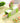 Four-Sided Vegetable Grater Slicer - Multifunctional Kitchen Tool - DecorOfficial