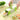 Four-Sided Vegetable Grater Slicer - Multifunctional Kitchen Tool - DecorOfficial