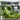 Magnetic Aquarium Cleaner - Fish Tank Maintenance Tool - DecorOfficial