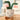 Plant Plush Toys - Adorable Stuffed Greenery - DecorOfficial