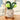 Plant Plush Toys - Adorable Stuffed Greenery - DecorOfficial