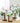 Vintage Hydroponic Terrarium Vase - Decorative Tabletop Planter - DecorOfficial