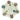 Interactive Dog Feeder Toy - Slow Feed Puzzle Bowl - DecorOfficial