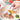 Glass Oil Dispenser Bottle - Sauce and Dressing Container - DecorOfficial