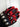 Tactical Motorcycle Gloves - Self Defense Gear for Riders - DecorOfficial