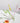 Reusable Glass Straw - Colorful Eco-Friendly Alternative - DecorOfficial