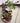 Fairy Garden House - Creative Resin Flower Pot - DecorOfficial
